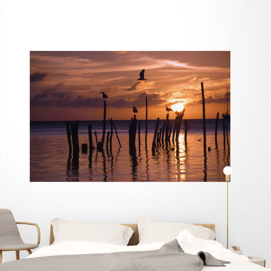 Silhouette Of Seagulls On Posts In Sea At Sunset Wall Mural