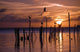 Silhouette Of Seagulls On Posts In Sea At Sunset Wall Mural
