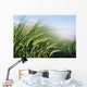 Wheat Fields In England Close-Up Wall Mural