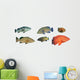 Grouper Fish Reef Fish Wall Decal Sticker Set