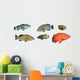 Grouper Fish Reef Fish Wall Decal Sticker Set