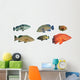 Grouper Fish Reef Fish Wall Decal Sticker Set