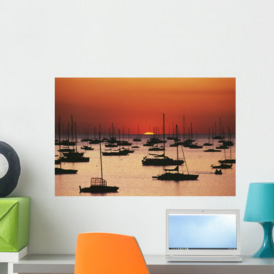 Silhouetted Sailboats Darwin Harbor Wall Mural shown on a wall