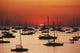 Silhouetted Sailboats In Darwin Harbor Wall Mural