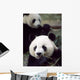 Pandas Eating Bamboo Wall Mural