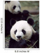 Pandas Eating Bamboo Wall Mural
