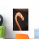 Close-Up Of Flamingo Wall Mural