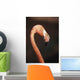 Close-Up Of Flamingo Wall Mural