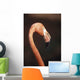 Close-Up Of Flamingo Wall Mural