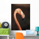 Close-Up Of Flamingo Wall Mural