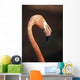 Close-Up Of Flamingo Wall Mural