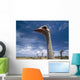Ostriches On Ostrich Farm Wall Mural