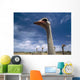 Ostriches On Ostrich Farm Wall Mural