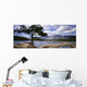 Tree And Fallen Tree Beside Lake Beauvert Wall Mural