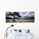 Tree And Fallen Tree Beside Lake Beauvert Wall Mural