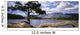 Tree And Fallen Tree Beside Lake Beauvert Wall Mural