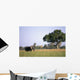 Elephant Grazing In Water Meadows Wall Mural