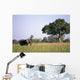 Elephant Grazing In Water Meadows Wall Mural