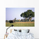 Elephant Grazing In Water Meadows Wall Mural