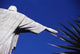 Christ The Redeemer And Palm Leaves Wall Mural