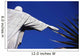 Christ The Redeemer And Palm Leaves Wall Mural