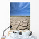 Cracked Lake Bed Wall Mural