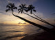 Palm Trees On Beach At Sunset Wall Mural