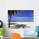 Palm Tree On Tropical Beach, Playa Ancon Wall Mural