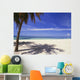 Palm Tree On Tropical Beach, Playa Ancon Wall Mural