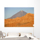 Valle De La Luna Wall Mural