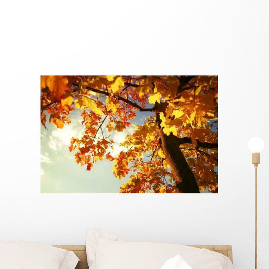 Herbstbaum3 Wall Mural
