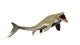 Liopleurodon Aquatic Dinosaur Wall Decal