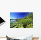 Lily Pads In A River, Okavango Delta Wall Mural