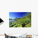 Lily Pads In A River, Okavango Delta Wall Mural