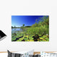 Lily Pads In A River, Okavango Delta Wall Mural