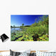 Lily Pads In A River, Okavango Delta Wall Mural
