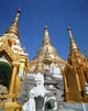Gilded Buildings Of Shwe Dagon Pagoda, Rangoon, Myanmar Wall Mural