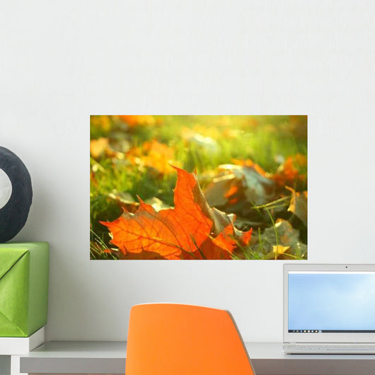 Herbstfrisch Wall Decal