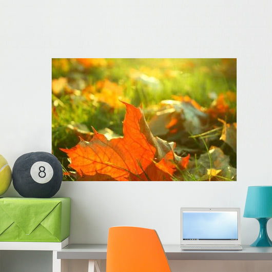 Herbstfrisch Wall Decal