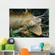 Iguana Near Cano Negro National Park Wall Mural