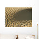 Ripples In Sand Dune, Close Up Wall Mural