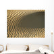 Ripples In Sand Dune, Close Up Wall Mural
