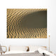 Ripples In Sand Dune, Close Up Wall Mural