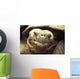 Close-Up Of Giant Tortoise Wall Mural
