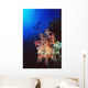 Two Silhouetted Divers Behind Soft Corals In The Red Sea Wall Mural