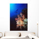 Two Silhouetted Divers Behind Soft Corals In The Red Sea Wall Mural