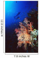 Two Silhouetted Divers Behind Soft Corals In The Red Sea Wall Mural