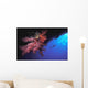 Silhouette Of Scuba Diver With Red Soft Coral Wall Mural