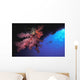 Silhouette Of Scuba Diver With Red Soft Coral Wall Mural