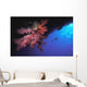 Silhouette Of Scuba Diver With Red Soft Coral Wall Mural